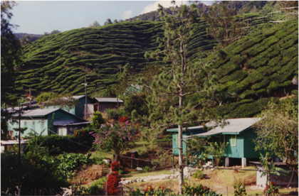 88.jpg