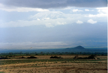 kilimanjaro.jpg