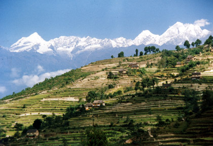 nepal1.jpg