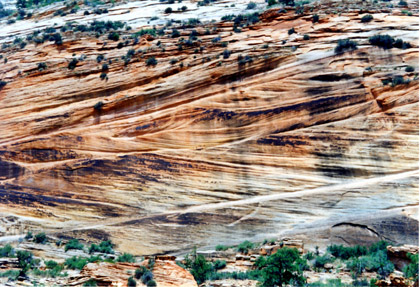 zion.jpg
